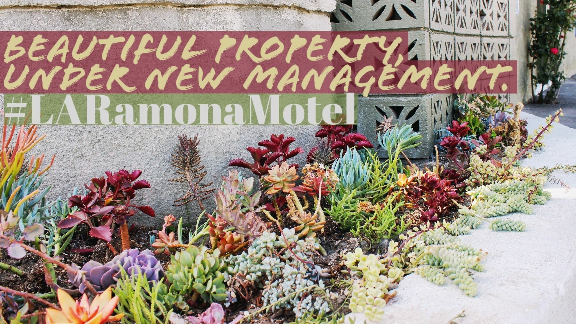 לוס אנג'לס Ramona Motel מראה חיצוני תמונה